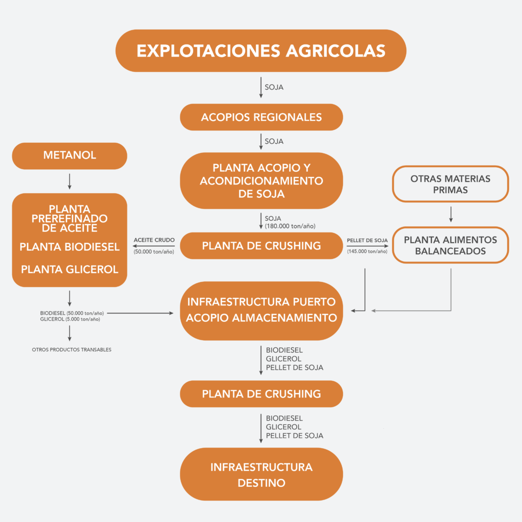 Biodiesel plant stages diagram